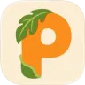 パパイヤ